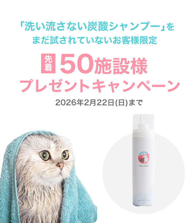「洗い流さない炭酸シャンプー」をまだ試されていないお客様限定先着50施設様プレゼントキャンペーン 2026年2月22日(日)まで