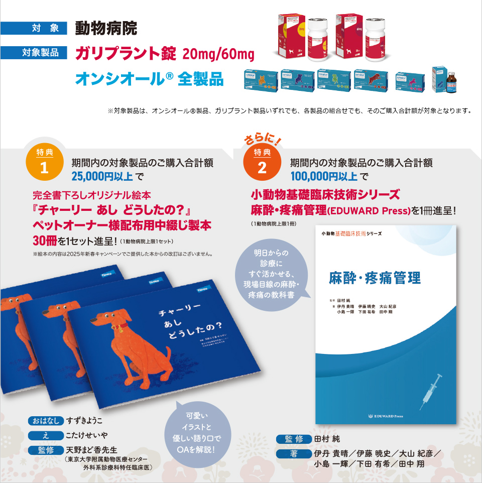 2026�V�t�L�����y�[��