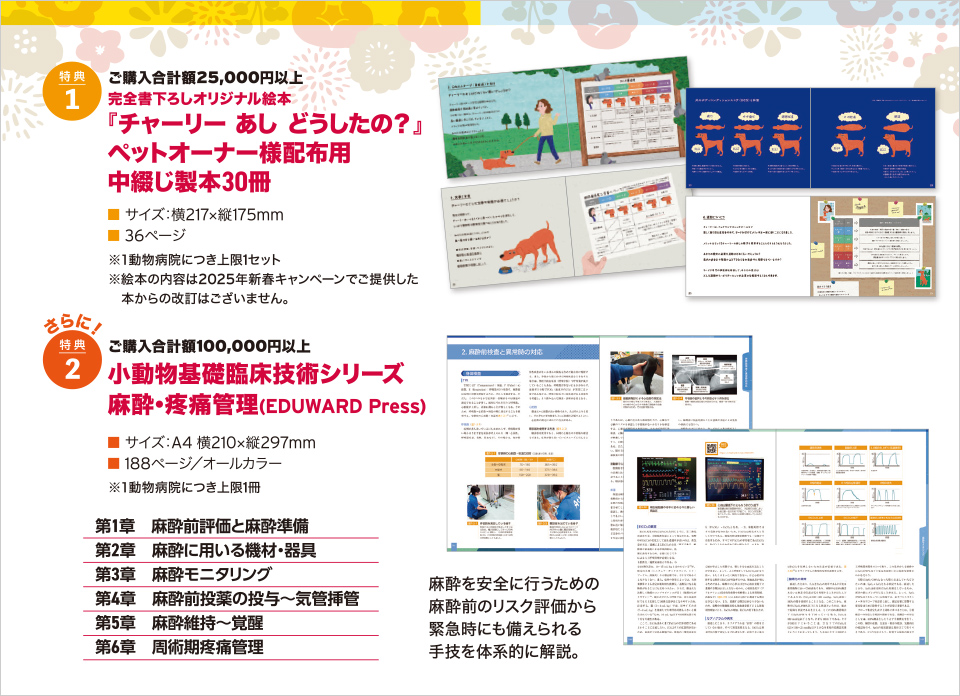 2026�V�t�L�����y�[��