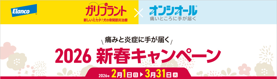 2026�V�t�L�����y�[��