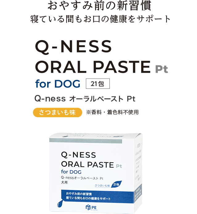 ���₷�ݑO�̐V�K���ŐQ�Ă���Ԃ������̌��N���T�|�[�g