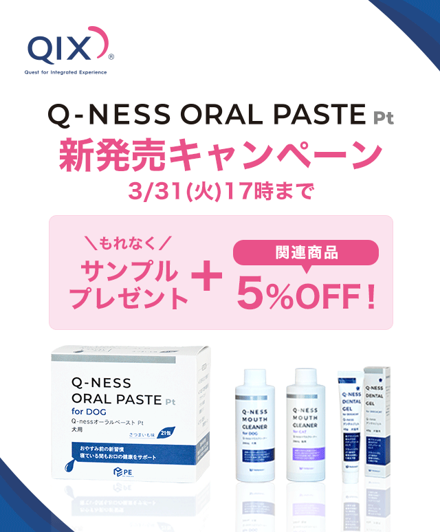 QIX Q-NESS ORAL PASTE pt �V�����L�����y�[���@3/31(��)17���܂�