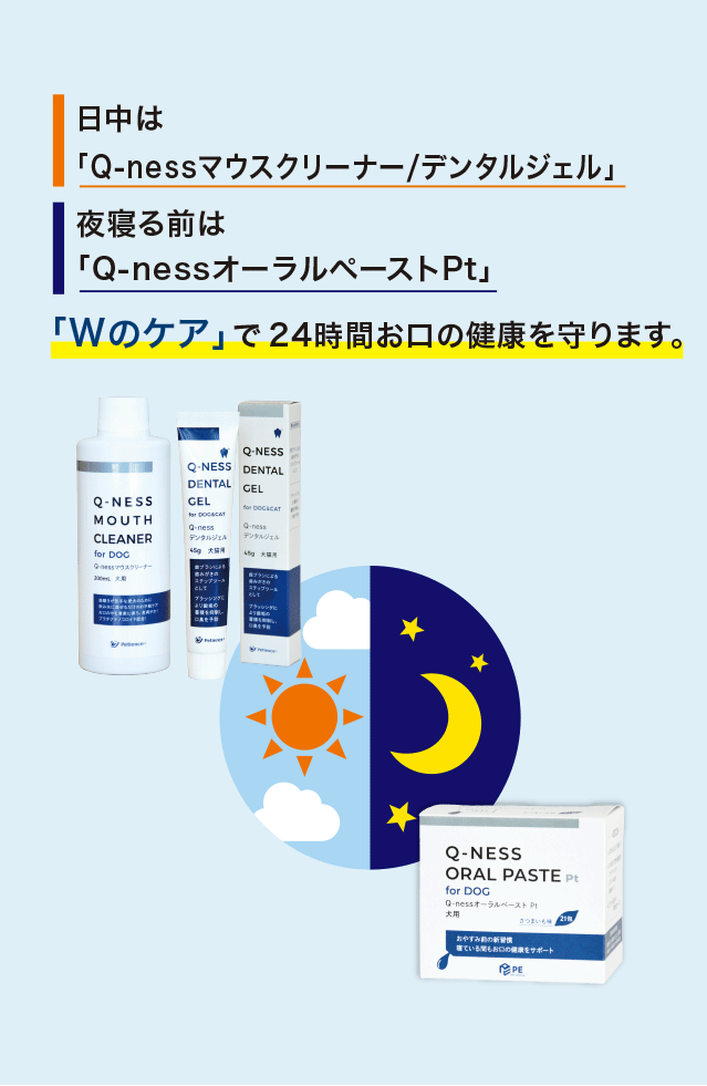 �����́uQ-ness�}�E�X�N���[�i�[/�f���^���W�F���v�@��Q��O�́uQ-ness�I�[�����y�[�X�gPt�vW�̃P�A��24���Ԃ����̌��N�����܂�