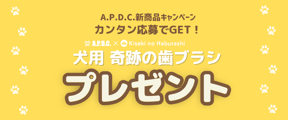 A.P.D.C.�V���i�L�����y�[���@�J���^�������GET�I���p ��Ղ̎��u���V �v���[���g�L�����y�[��