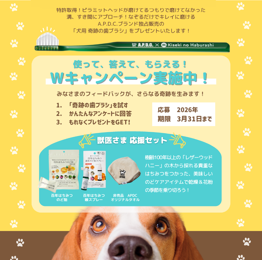 �g���āA�����āA���炦��IW�L�����y�[�����{���I