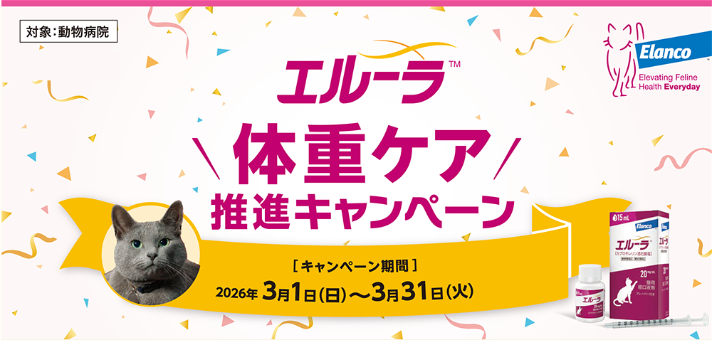 �G���[���̏d�P�A���i�L�����y�[��