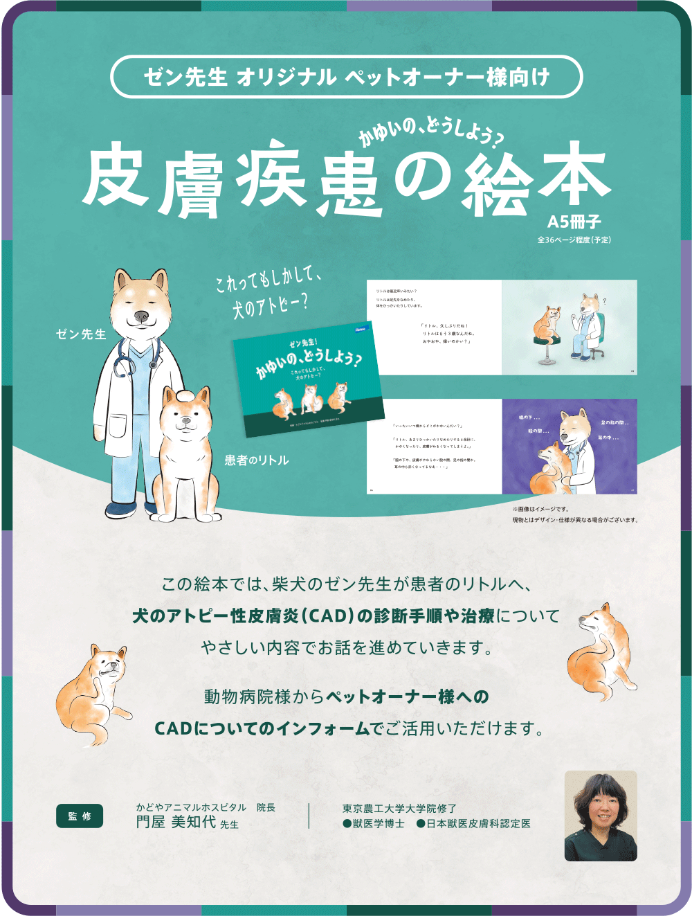 �[�������ASPRING�L�����y�[��