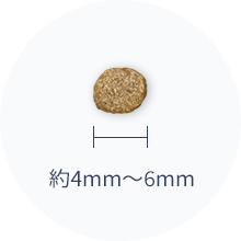 �H�ׂ₷���T�C�Y