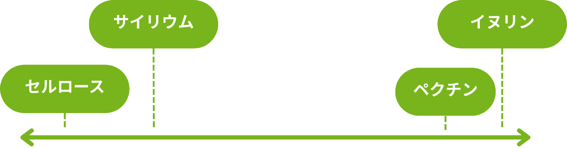 �H���@�ۂ̐����Ɠ��� �`���[�g�}�i�T�C���E���E�C�k�����E�Z�����[�X�E�y�N�`���j