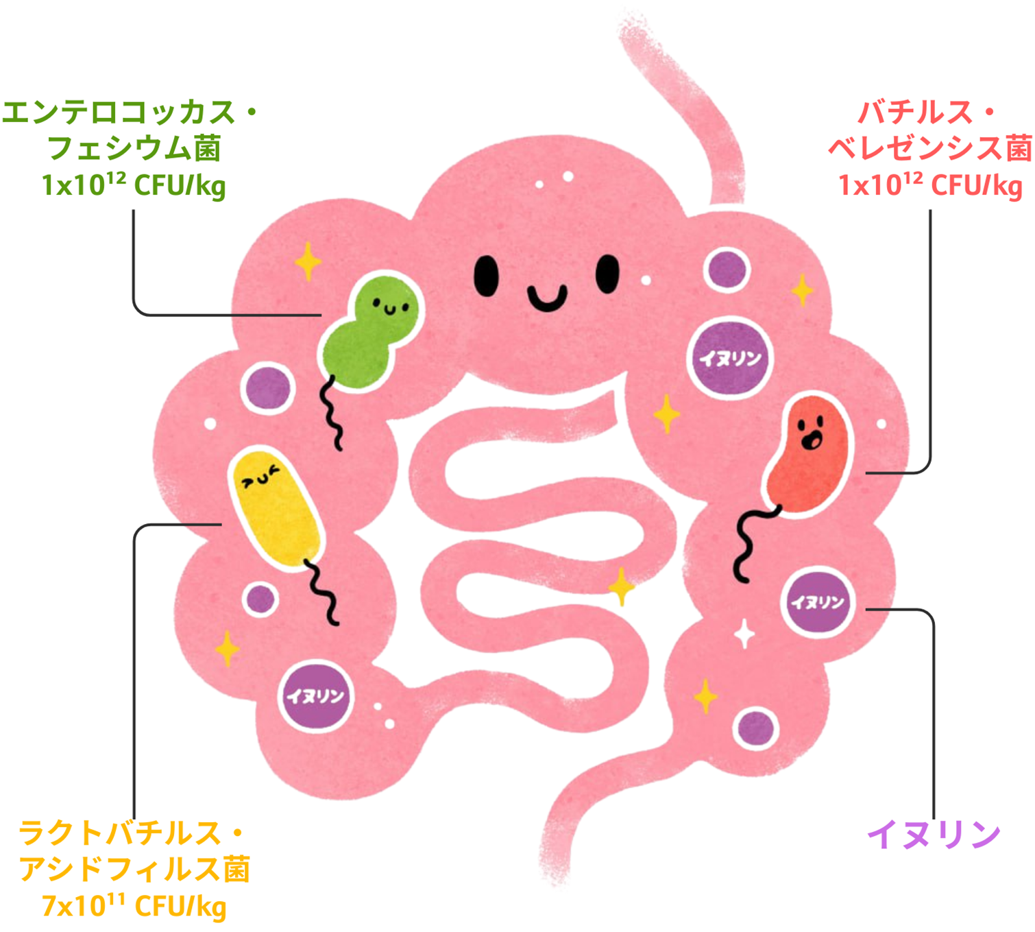 �t���[���R���v���b�N�X3 �����t���[���̃C���X�g�}��