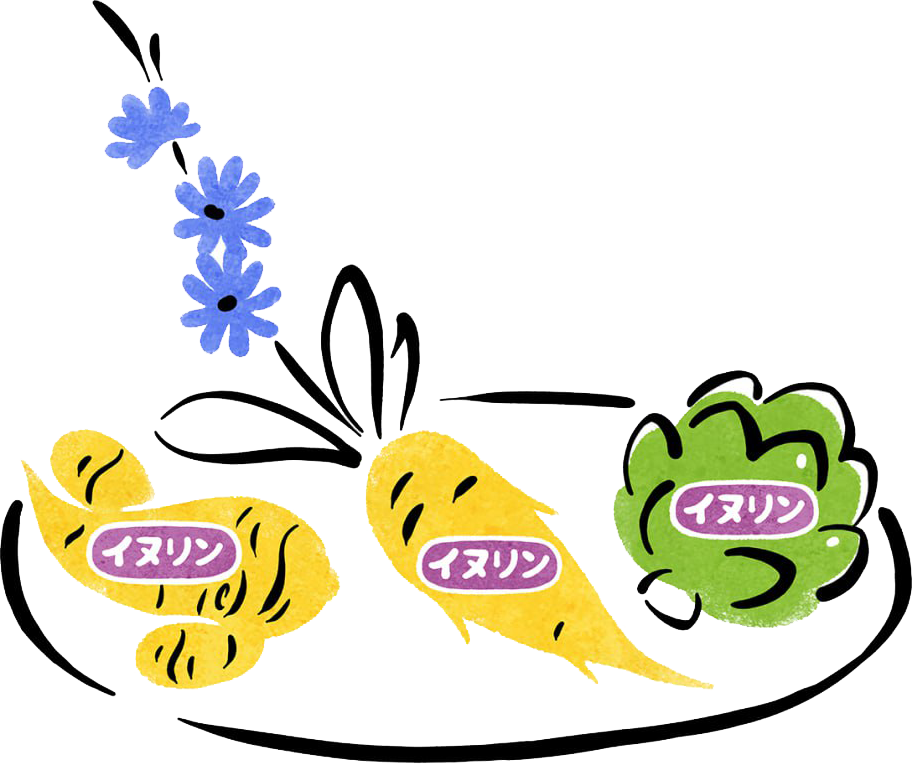 �v���o�C�I�e�B�N�X�i�H���@�ہj�̃L�����N�^�[�C���X�g