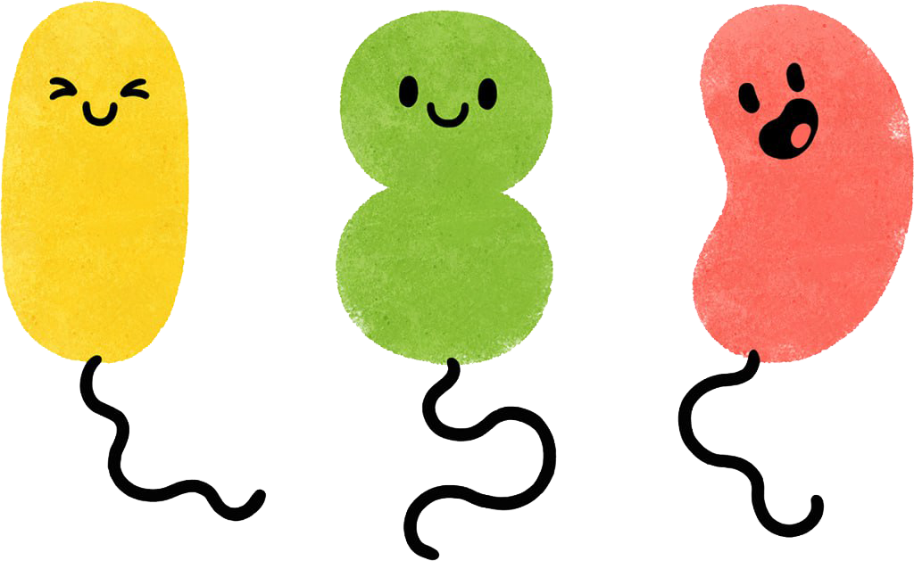 �v���o�C�I�e�B�N�X�i�P�ʋہj�̃L�����N�^�[�C���X�g