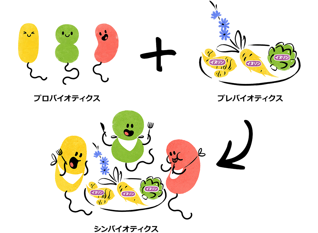 プロバイオティクス(善玉菌)のキャラクターイラスト