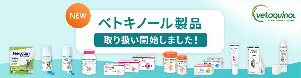 �yNEW�z�׃g�L�m�[���W���p�����i��舵���J�n���܂����I