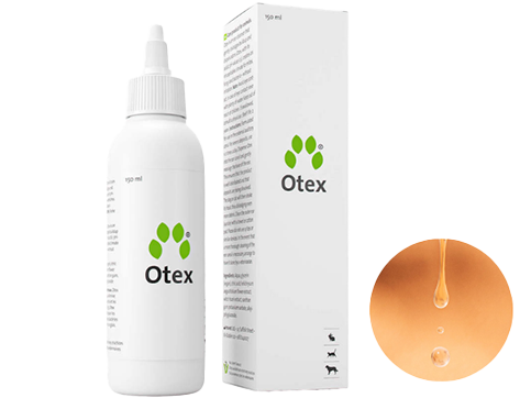 �I�e�b�N�X