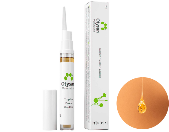 �I�e�B�U��