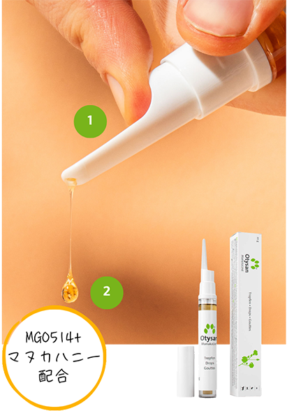 �I�e�B�U�� �g�p�V�[���E�{�g��