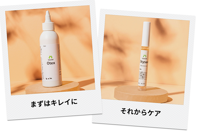 �I�e�b�N�X