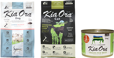 Kia Ora�h���C�t�[�h