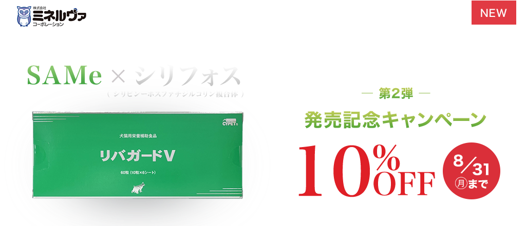 ���o�K�[�hV SAMe�~�V���t�H�X �����L�O�L�����y�[�� 10%OFF