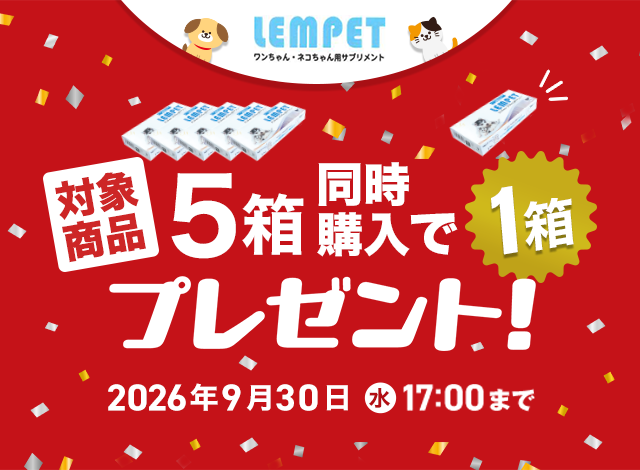 �����y�b�g 5+1�L�����y�[��