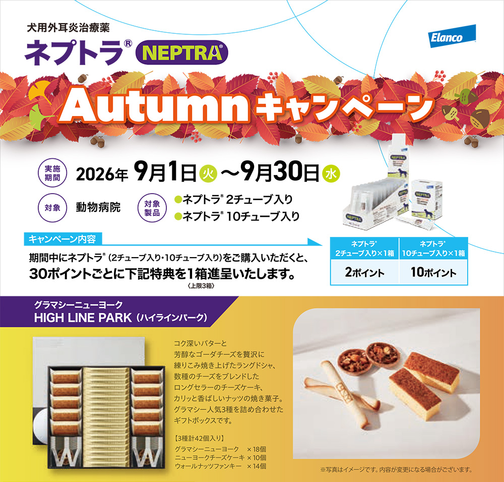 �G�����R�@�l�v�g���@AUTUMN�L�����y�[��