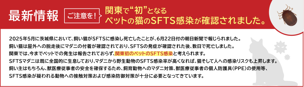 ŐV@ӂI֓ŏƂȂybg̔LSFTSmF܂