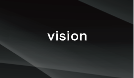 vision