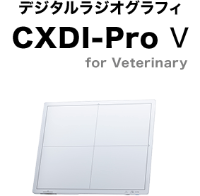fW^WIOtB@CXDI-Pro V