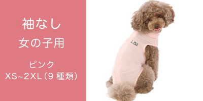 Ȃ@̎qp@sN@XS`2XLi9ށj