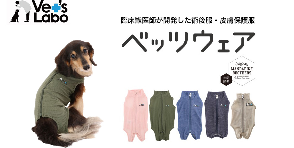 ՏbtJp㕞E畆ی앞@xbcEFA