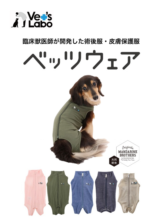 ՏbtJp㕞E畆ی앞@xbcEFA