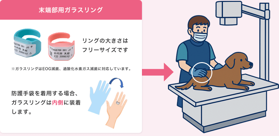 ���[���p�K���X�����O�Əb��t�C���X�g