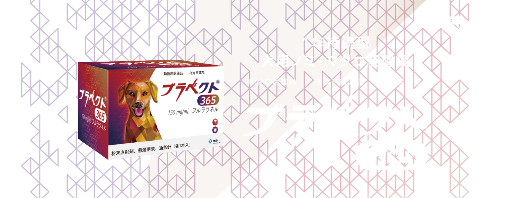 �u���x�N�g365 ���C���r�W���A��