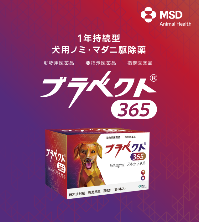 �u���x�N�g365