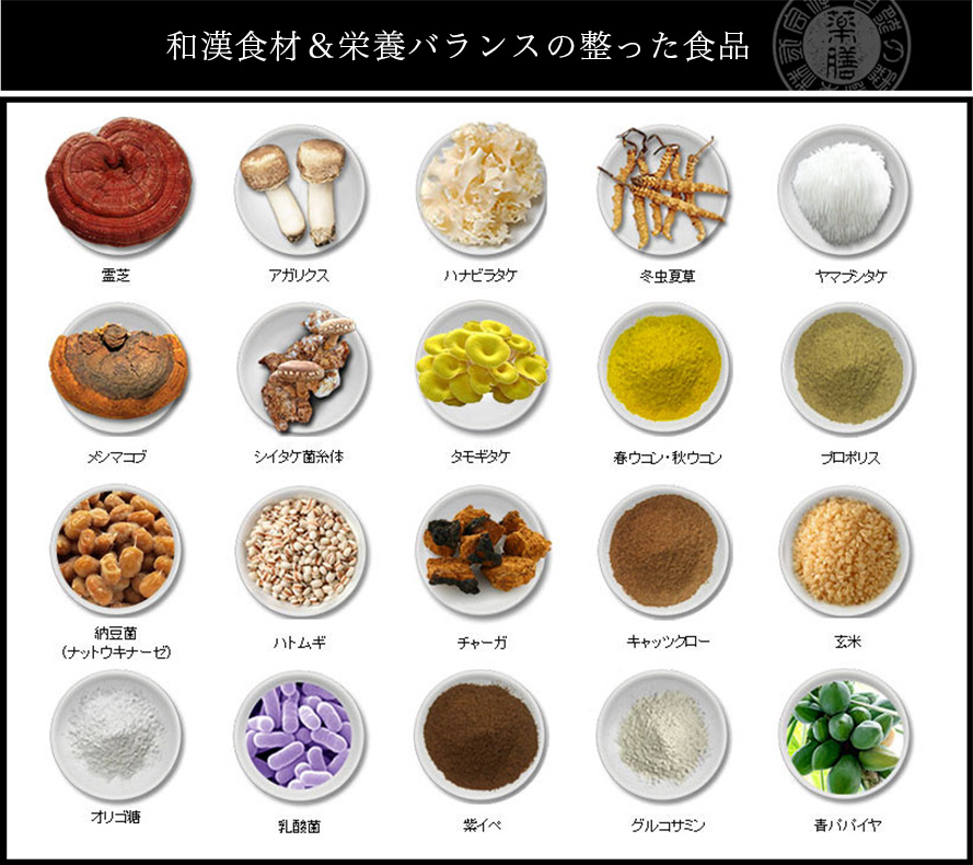 �݂炢�̃h�b�O�t�[�h�E�T�v���E����� �ړI�őI�ׂ� �t�[�h�I�ѕ��ꗗ�\ �����p