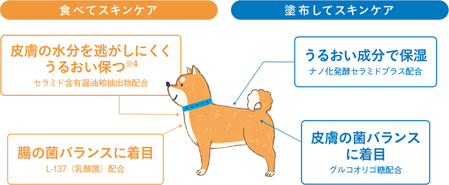 �H�ׂăX�L���P�A�F�畆�̐����𓦂����ɂ������邨���ۂi�Z���~�h�ܗL�ݖ������o���z���j�A���̋ۃo�����X�ɒ��ځiL-137���_�۔z���j�B�h�z���ăX�L���P�A�F���邨�������ŕێ��i�i�m�����y�Z���~�h�v���X�z���j�A�畆�̋ۃo�����X�ɒ��ځi�O���R�I���S���z���j