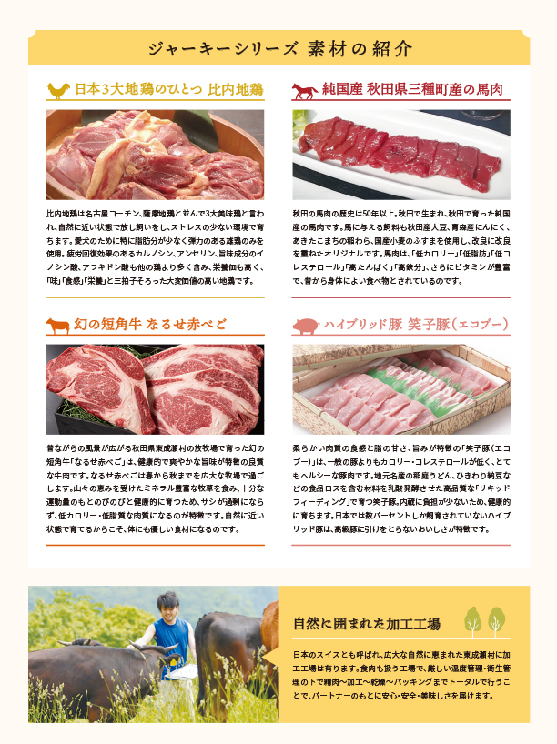 �W���[�L�[�V���[�Y